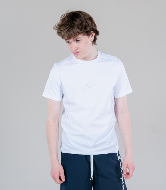 Guess мужская футболка M2YI72*G011 (1)