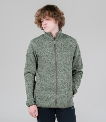 Icepeak  мужская кофта Agen 57843-3*589 (4)