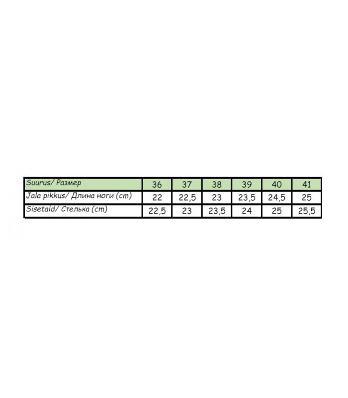 Naiste sandaalid 442902 01 (1)