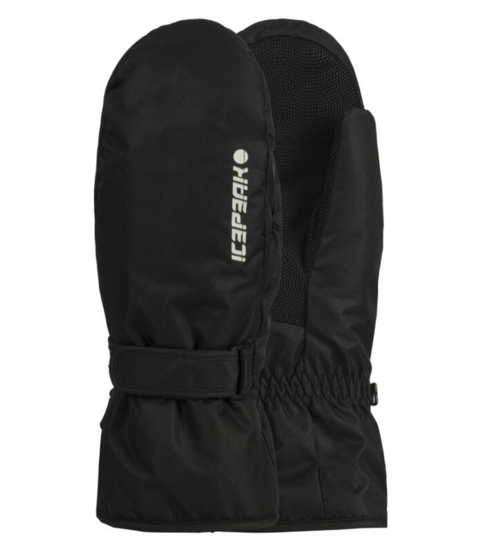 Icepeak зимние варежки HAYSBURG 58852-6*990