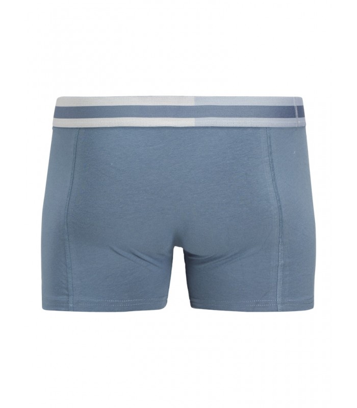Jack & Jones meeste aluspüksid 12268486*01 (8)