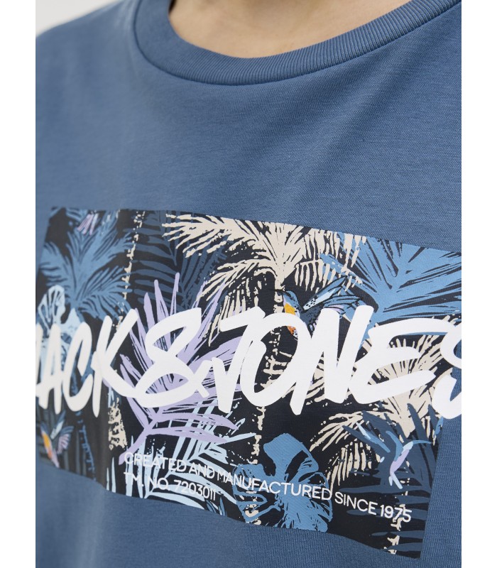 Jack & Jones Jungen T-Shirt 12269916*01 (4)