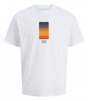 Jack & Jones Meeste T-särk 12281087*04