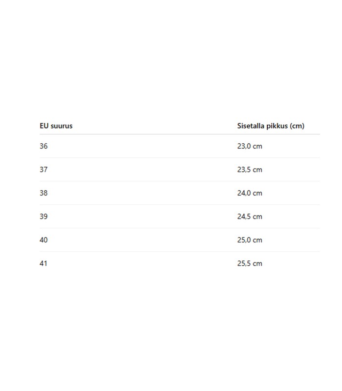 Sieviešu iešļūcenes 402350 01 (4)