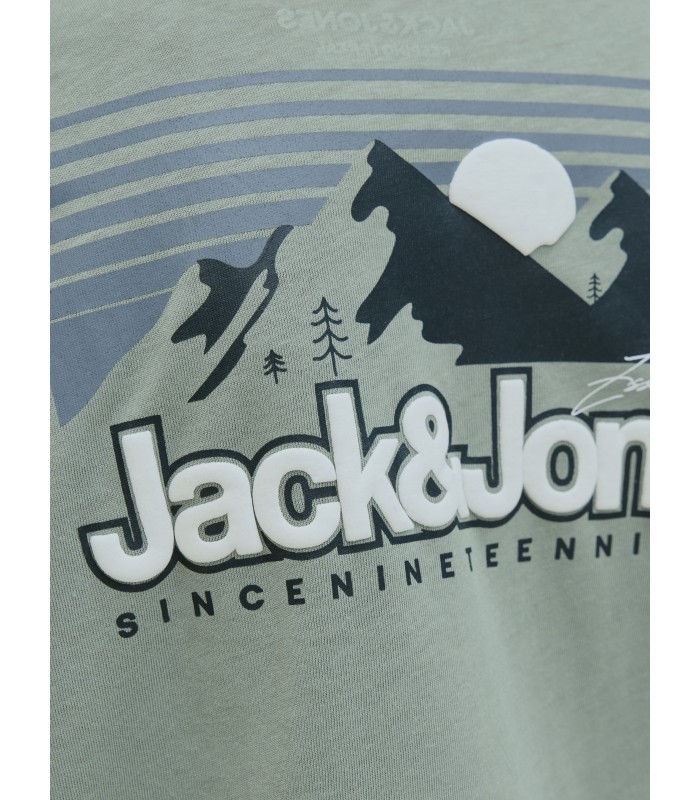 Jack & Jones poikien t-paita 12279668*02 (8)