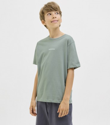 Jack & Jones футболка для мальчиков 12279668*02