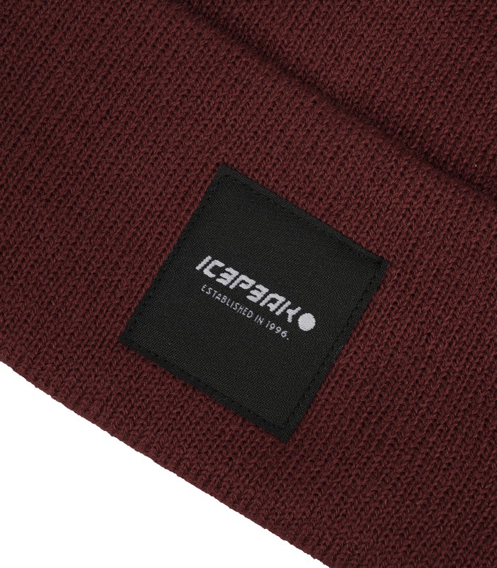 Icepeak-talvihattu Harcourt 58808-8*690 (3)