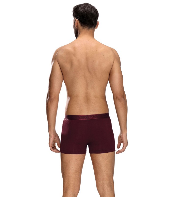 Friends vyriškos bokserinės kelnaitės 1341-09*01 (3)