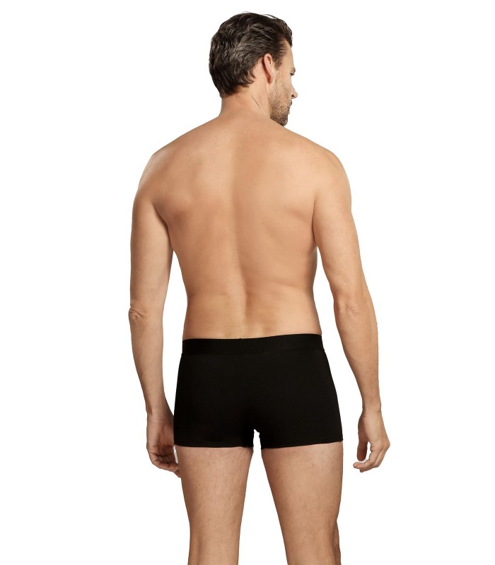 Friends vīriešu bokseršorti 1395*04 (4)