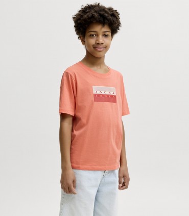 Jack & Jones poiste T-särk 12293162*05 (7)
