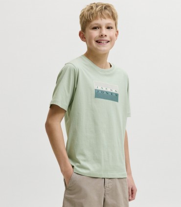 Jack & Jones poiste T-särk 12293162*04 (6)