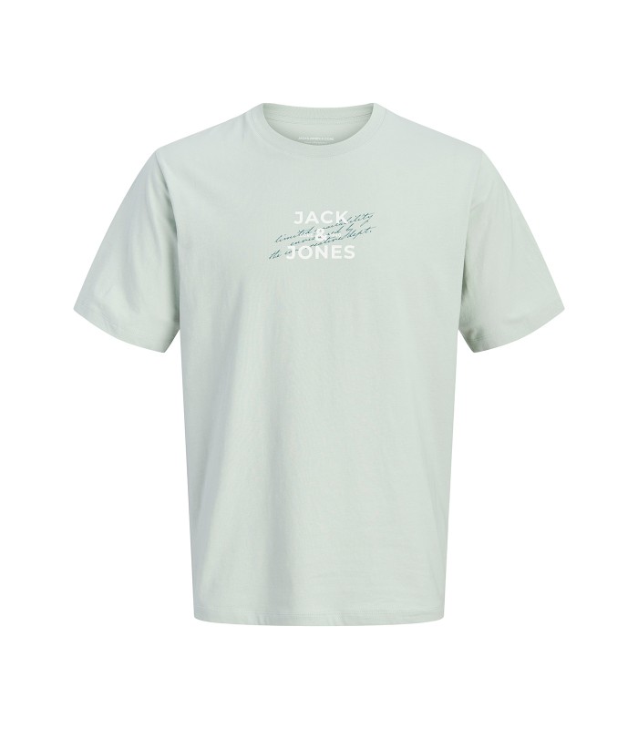 Jack & Jones poikien t-paita 12302712*03 (2)
