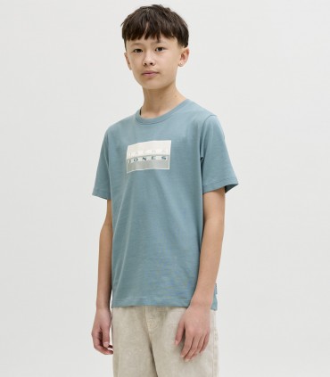 Jack & Jones футболка для мальчиков 12293162*08