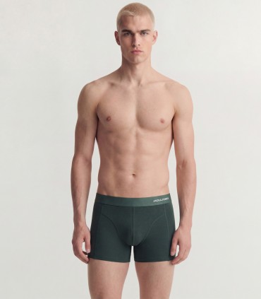 Jack & Jones meeste aluspüksid, 3 paari 12300848*01 (6)